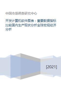 計算機軟件開發(fā) 重要數(shù)據(jù)指標比較與國內(nèi)外生產(chǎn)現(xiàn)狀及全球宏觀經(jīng)濟分析